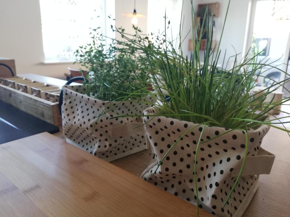 Vakantiewoning-Deblinker ซินต์-เลาไรนส์ ภายนอก รูปภาพ